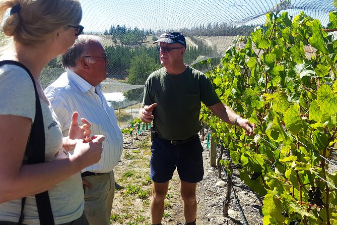 Full-Day Sommelier Guided Private Wine Tour of Central Otago - Additional Information