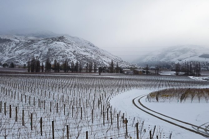 Full-Day Sommelier Guided Private Wine Tour of Central Otago - Copyright Information