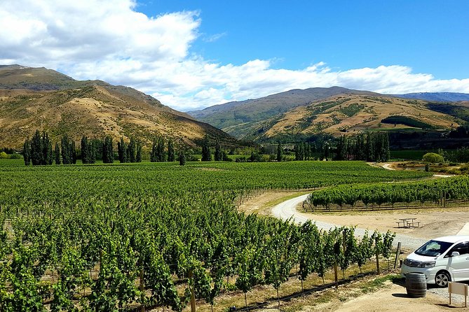 Full-Day Sommelier Guided Private Wine Tour of Central Otago - Common Questions