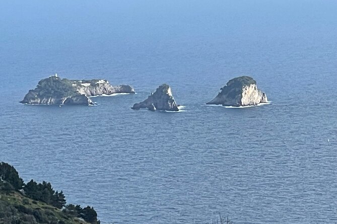 Full-Day Sorrento Positano Pompeii Tour - Meeting and Pickup