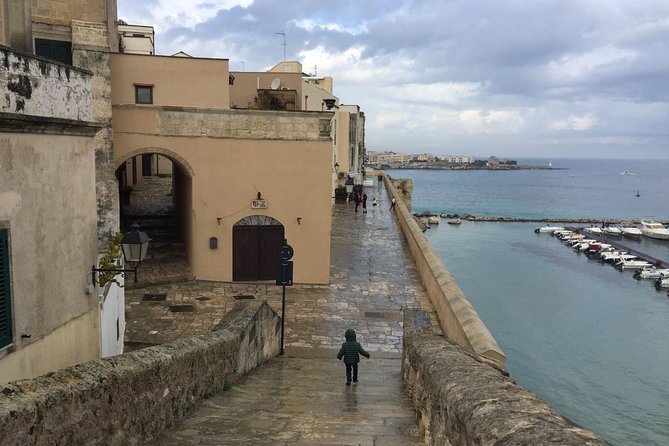 Full-Day Sorrento Positano Pompeii Tour - What To Expect