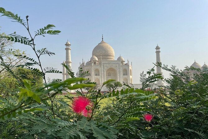 Full Day SOS Wildlife Sanctuary With Sunrise at Taj Mahal - Wildlife Sanctuary Overview