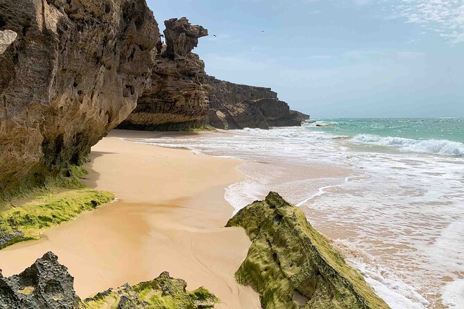 Full Day South to Southwest Exploration in Boa Vista Island - Good To Know