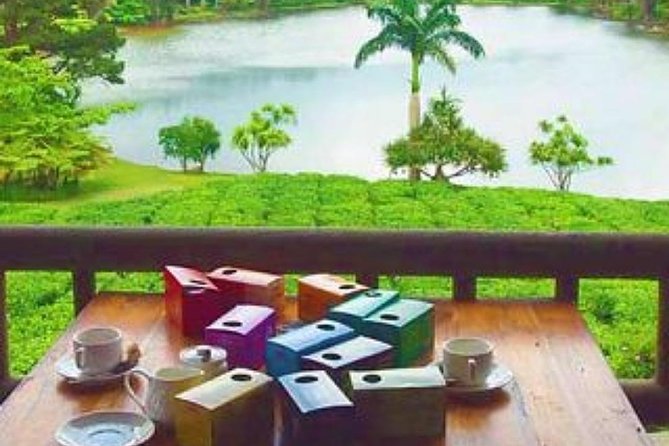 Full Day South Tour- Glass Gallery, Crocodile Park, Tea Factory, Gris Gris Etc.. - Operator Details