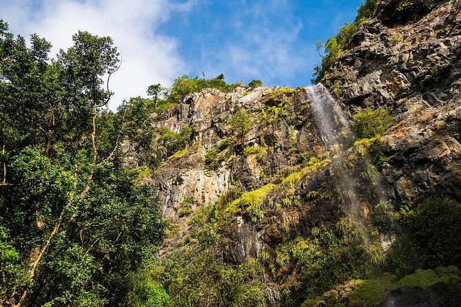 Full Day South West Mauritius Sightseeing Tour With Lunch - The Sum Up