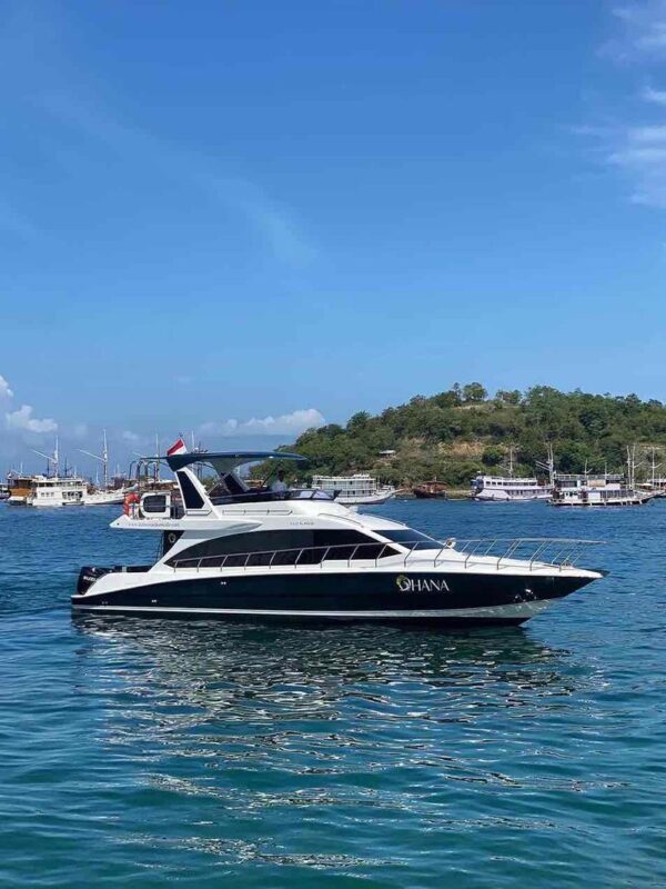 Full Day Speedboat Tour from Labuan Bajo - Six stops, one long day at sea