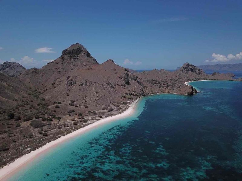 Full Day Speedboat Tour from Labuan Bajo - Komodo is a guided walk, not a wildlife guarantee