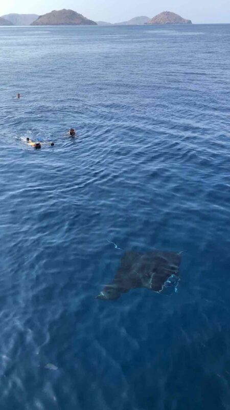 Full Day Speedboat Tour from Labuan Bajo - Is $89.25 good value?