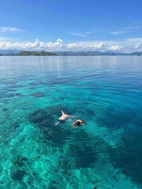 Full Day Speedboat Tour from Labuan Bajo - Should you book this Komodo speedboat tour?