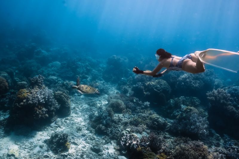 Full Day Speedboat Tour with Free Documentation from Labuan Bajo - Manta Point: a chance, not a promise