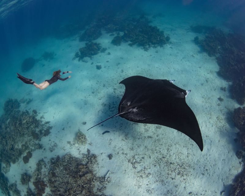 Full Day Speedboat Tour with Free Documentation from Labuan Bajo - What the boat and package include