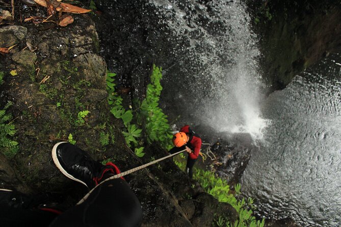 Full Day Springs Canyon Bali Canyoning Adventure - Customer Reviews