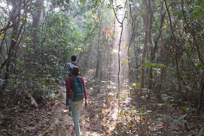 Full Day Sreemangal Tea Garden & National Park Hiking Tour - Itinerary Highlights
