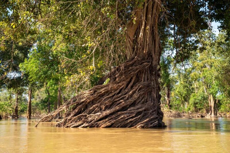 Full-Day Stung Treng Mekong River Waterfalls & 2 Boat Tours - What Makes This Tour Stand Out?  