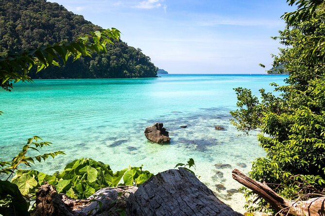 Full-Day Surin Island by Speed Boat From Khao Lak With Lunch - The Sum Up