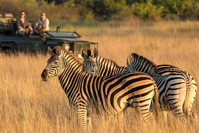 Full-Day Tala Game Reserve, Natal Lion Park and Phezulu Fr Durban - Good To Know