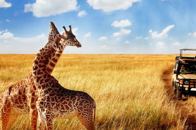 Full Day -Tala Game Reserve, Natal Lion Park, Phezulu From Durban - Pricing and Booking Information