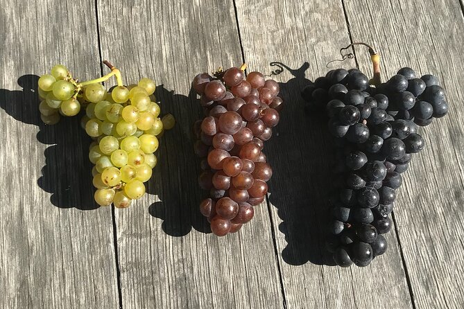 Full Day Tamar Valley Wine Tour - Tour Details