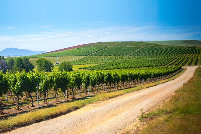 Full Day Tamar Valley Wine Tour - Positive Feedback From Host