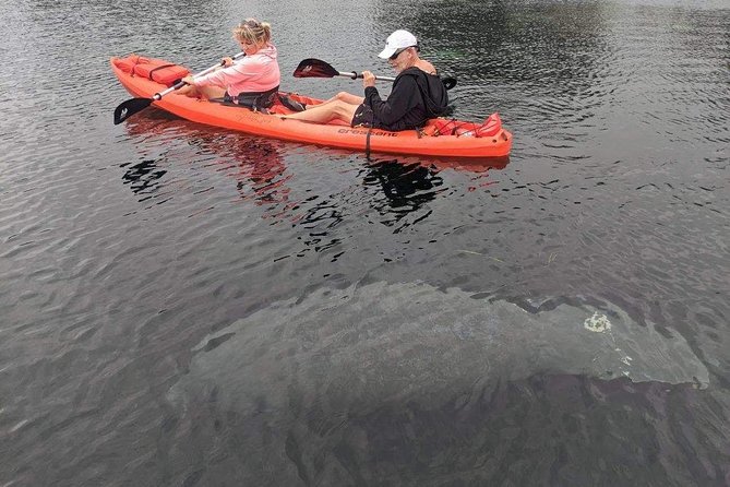 Full Day Tandem Kayak Rental For Two People In Crystal River, Florida - Inclusions and Fees