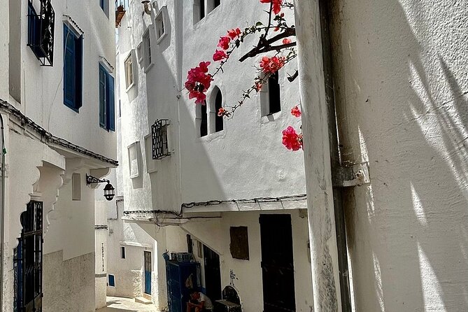 Full Day Tangier Private Tour From Cruise Ship All Inclusive - Important Booking Information