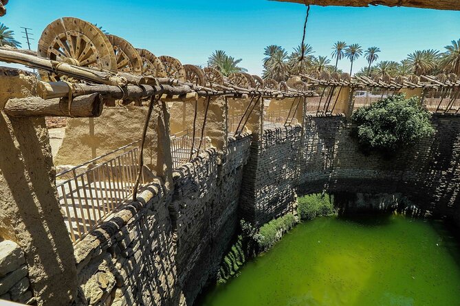 Full-Day Tayma Tour From Alula - Price, Booking, and Reviews