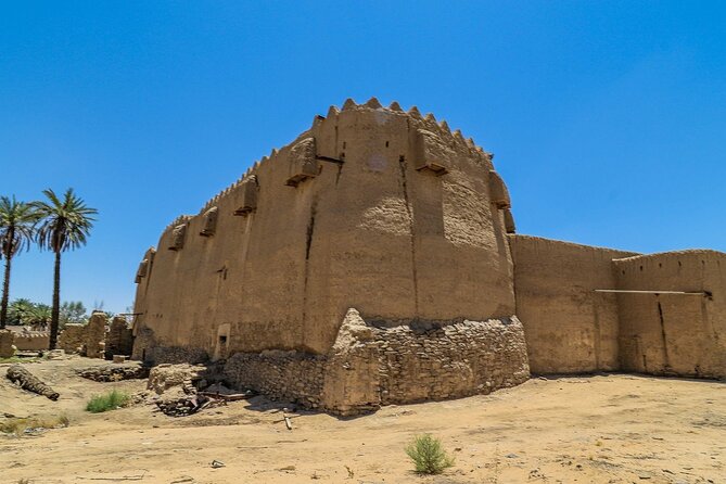 Full-Day Tayma Tour From Alula - The Sum Up