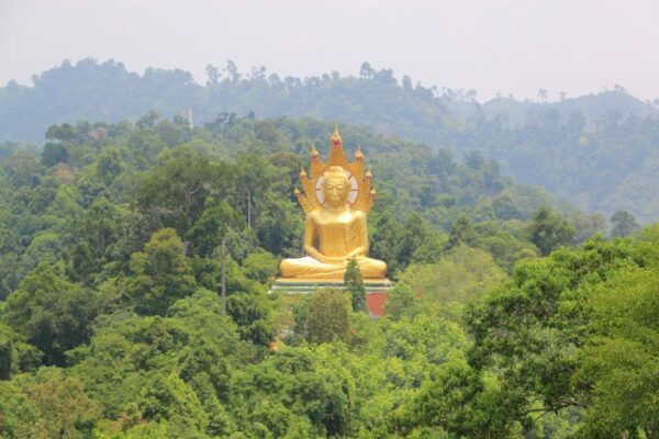 Full-Day Temple Tour Including Dragon Cave From Khao Lak - Customer Reviews