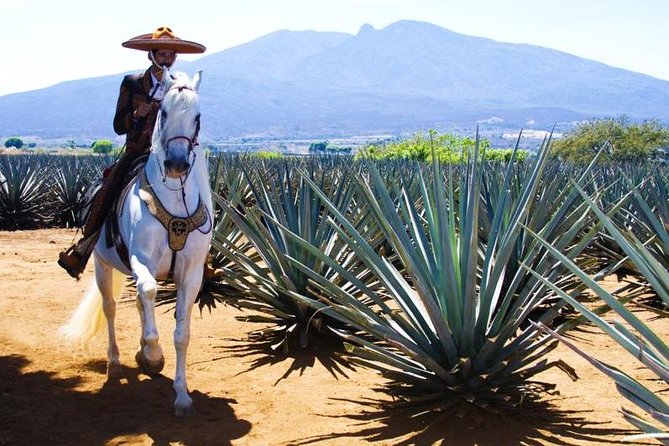 Full-Day Tequila, Jalisco From Puerto Vallarta With Tequila Experience - Common Questions