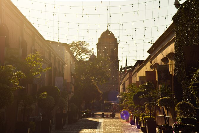 Full-Day Tequila Tour From Guadalajara - Common Questions