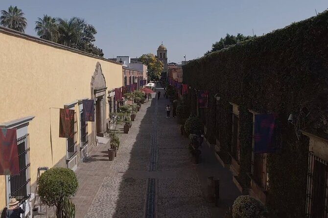 full day Tequila tour visiting artisanal distillery and downtown. - Timing and Practical Tips