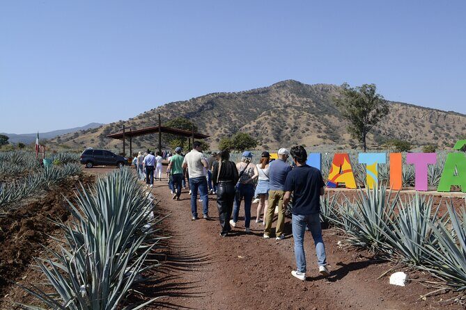 full day Tequila tour visiting artisanal distillery and downtown. - Final Thoughts: Is This Tour Right for You?