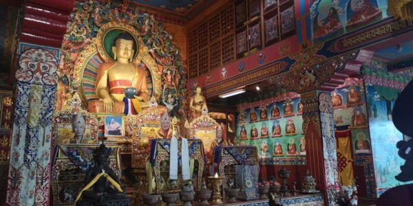 Full Day Tibetan Cultural Tour - Booking and Contact Details