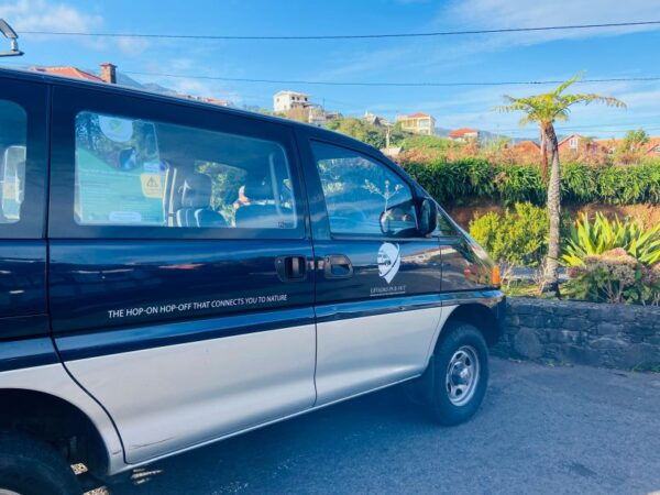 Full Day Ticket Bus in Santana - The Sum Up