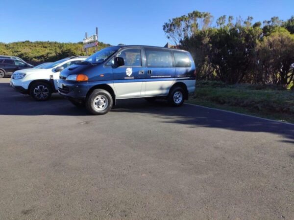 Full Day Ticket Bus in Santana - Important Information and Customer Experience