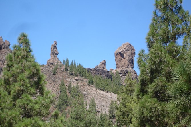 Full Day to Bandama Volcano, Center and High Peaks of Gran Canaria & Roque Nublo - Inclusions for the Tour