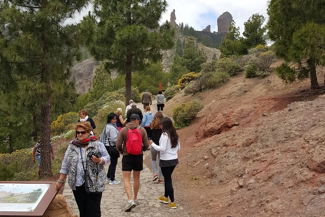 Full Day to Bandama Volcano, Center and High Peaks of Gran Canaria & Roque Nublo - Cancellation Policy for the Tour