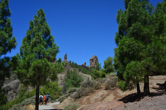 Full Day to Bandama Volcano, Center and High Peaks of Gran Canaria & Roque Nublo - Traveler Photos of the Tour