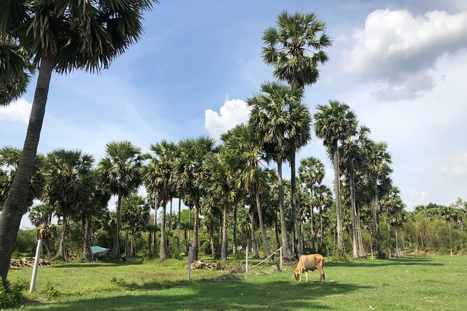 Full-Day to Chau Doc Town and Tra Su Forest in Vietnam - Itinerary Overview