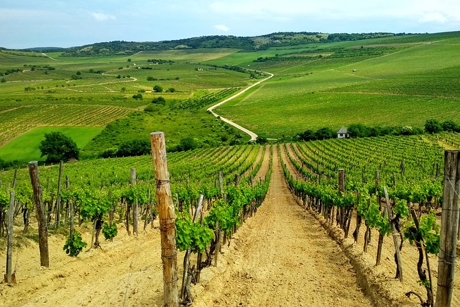 Full-Day Tokaj UNESCO World Heritage Site Private Wine Tour - Tour Overview