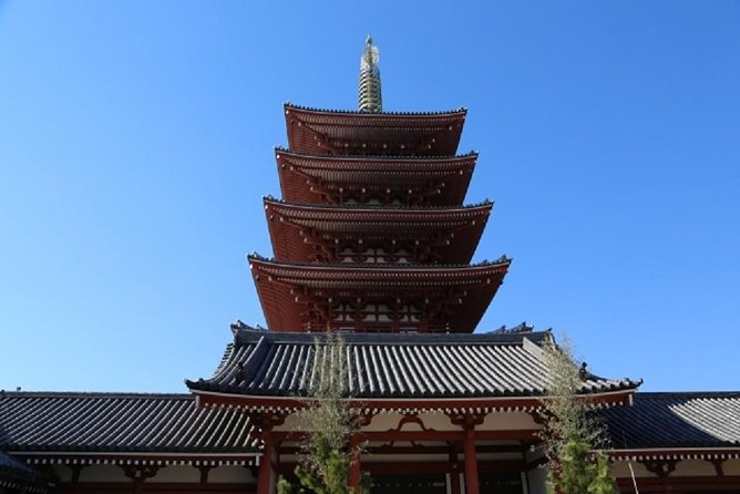 Full Day Tokyo Chartered Taxi Tour From Narita - Itinerary