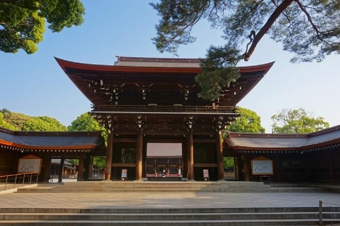 Full Day Tokyo Chartered Taxi Tour From Narita - Customization Options