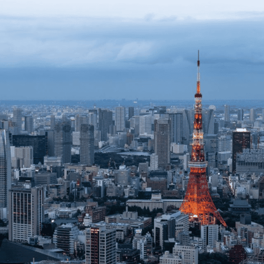 Full Day Tokyo Customize Unforgettable Private Tour 23 Ward - Included Amenities