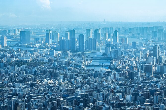 Full Day Tokyo Private Tour by Luxury Vehicle - Pricing Information