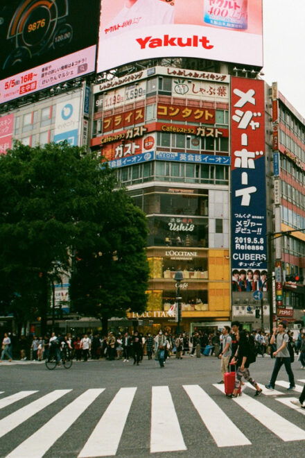 Full Day Tokyo Trip in a Private Car or Van - Inclusions
