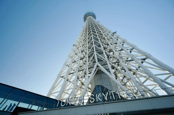 Full Day Tokyo Trip in a Private Car or Van - Booking and Payment Options