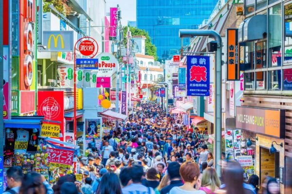Full Day Tokyo Trip in a Private Car or Van - Tips for a Smooth Trip