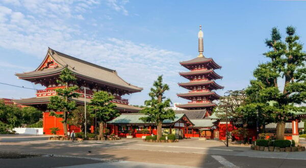 Full Day Tokyo Trip in a Private Car or Van - Customer Experiences and Reviews