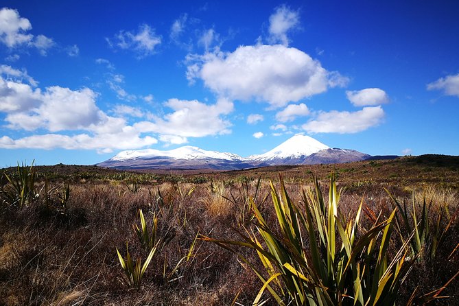 Full-Day Tongariro Tour  - Rotorua - Whats Included