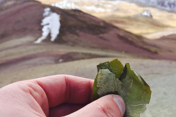 Full-Day Tour and Hike to Rainbow Mountain From Cusco, Peru - Traveler Reviews and Recommendations